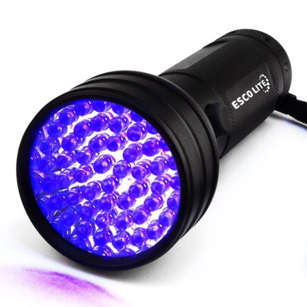Best Black Lights: Make the Invisible Visible