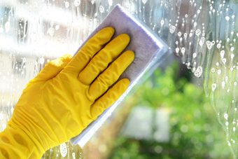 Best Window Cleaners: See Clearly