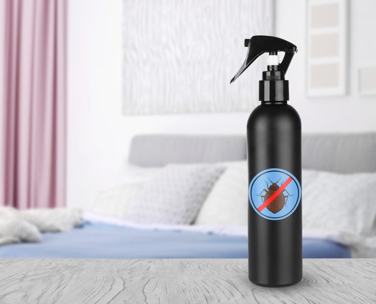 The Best Bed Bug Sprays: Sleep in Peace