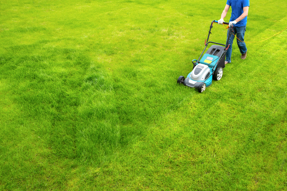 aerial view of mowing lawn