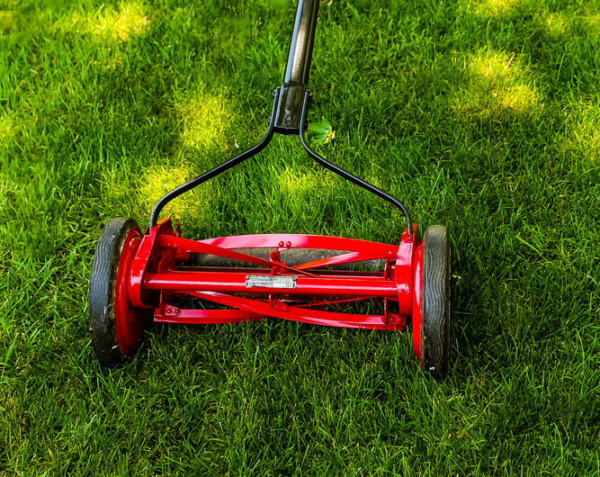 golf bag trailer