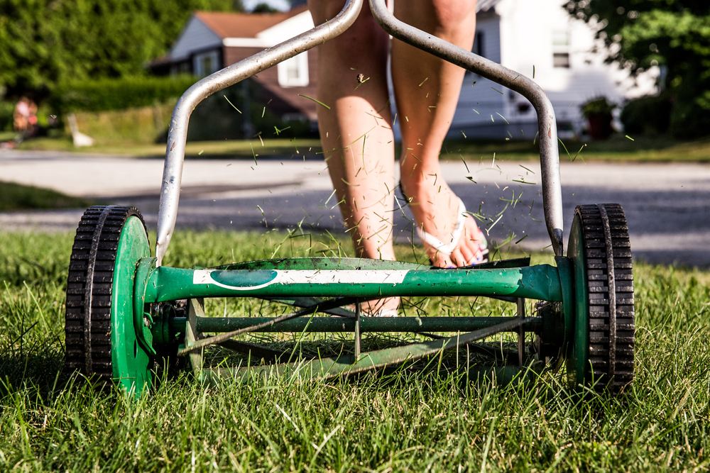 person using reel mower