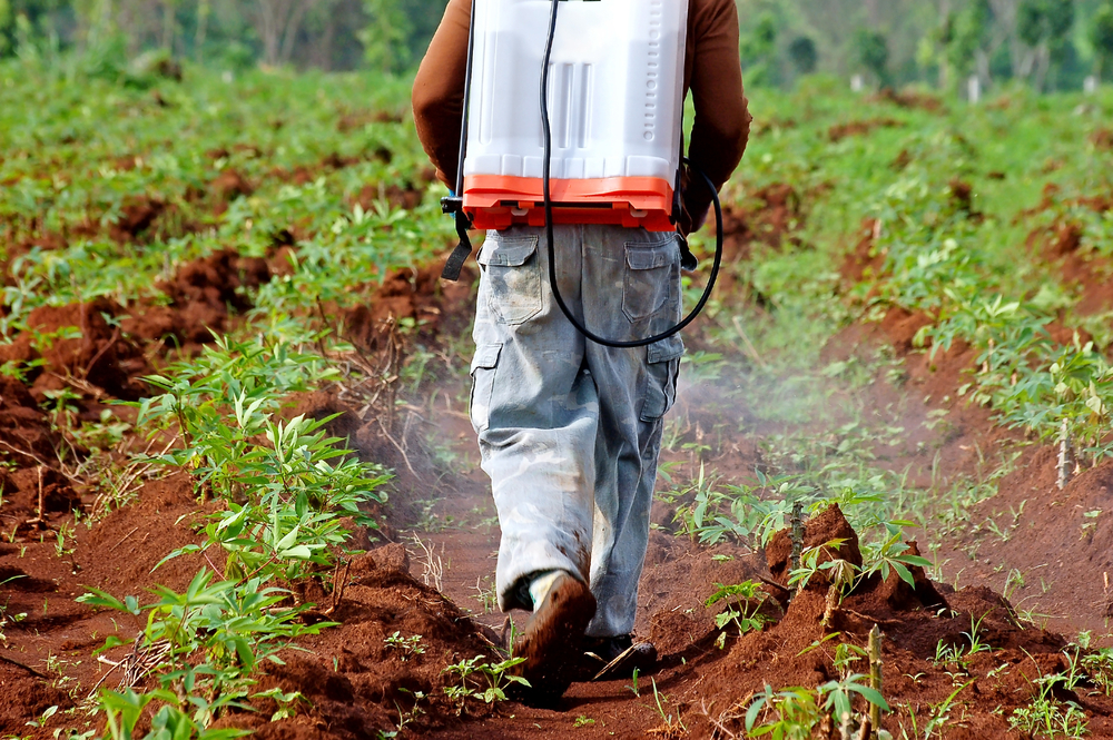 Man walking with backpack sprayer