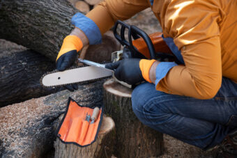 The 10 Best Chainsaw Sharpeners: Stay Sharp Out There