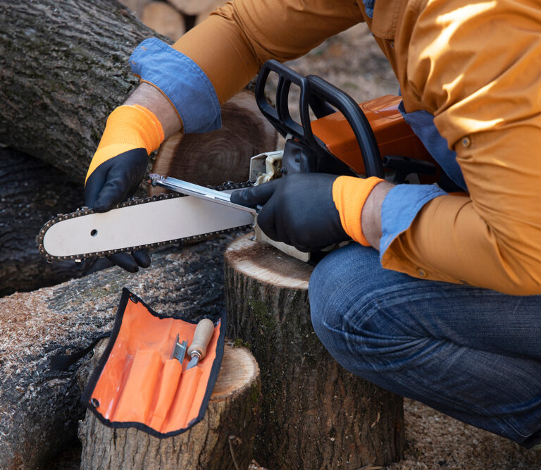 The 10 Best Chainsaw Sharpeners: Stay Sharp Out There