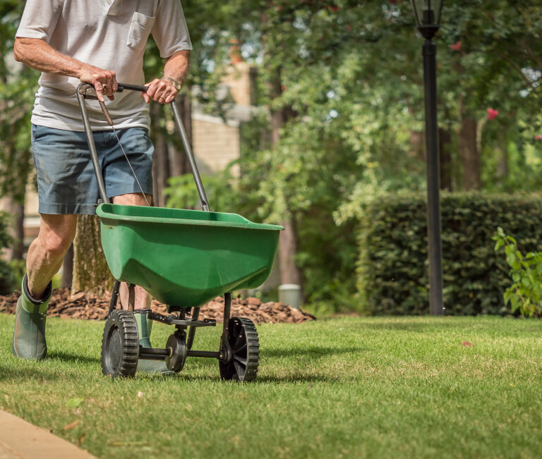 Nourish Your Lawn With the Best Fertilizer Spreaders for Lawns