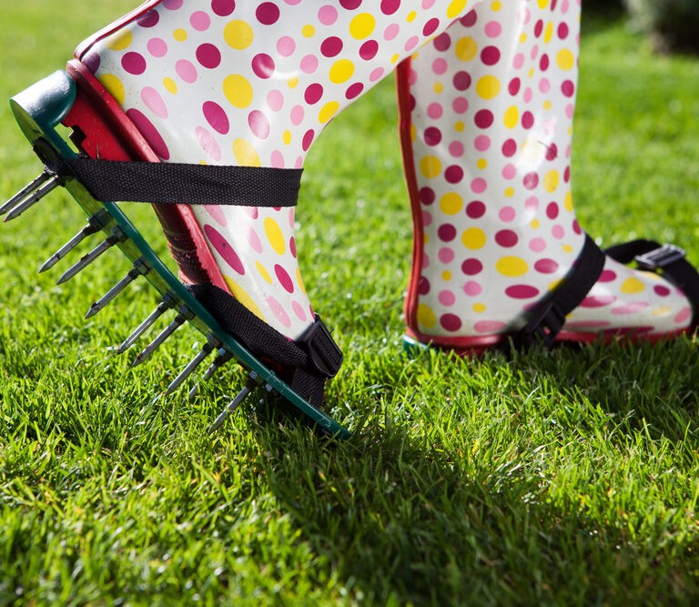 Let Your Lawn Breathe With the 10 Best Lawn Aerators