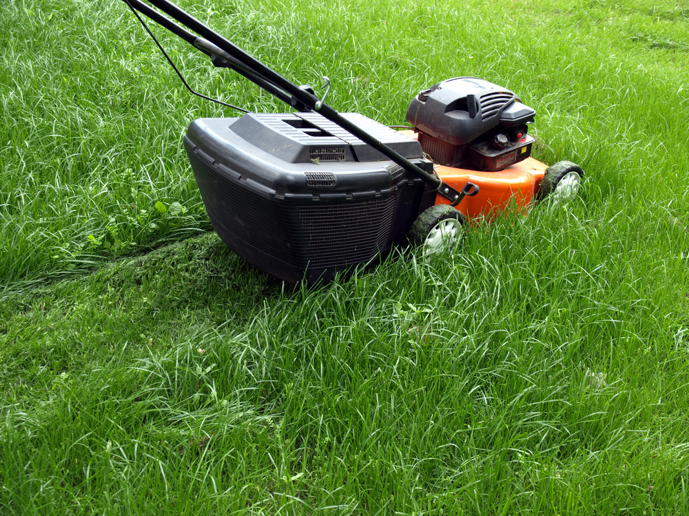 lawn mower cutting long grass