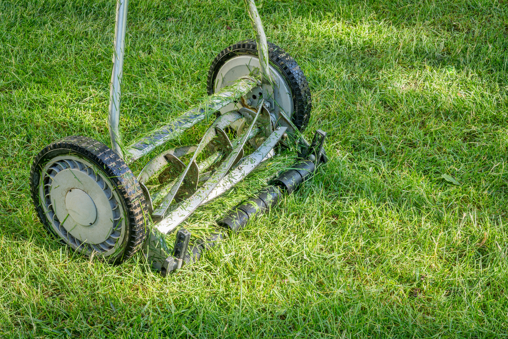 close up of reel lawn mower covered in grass