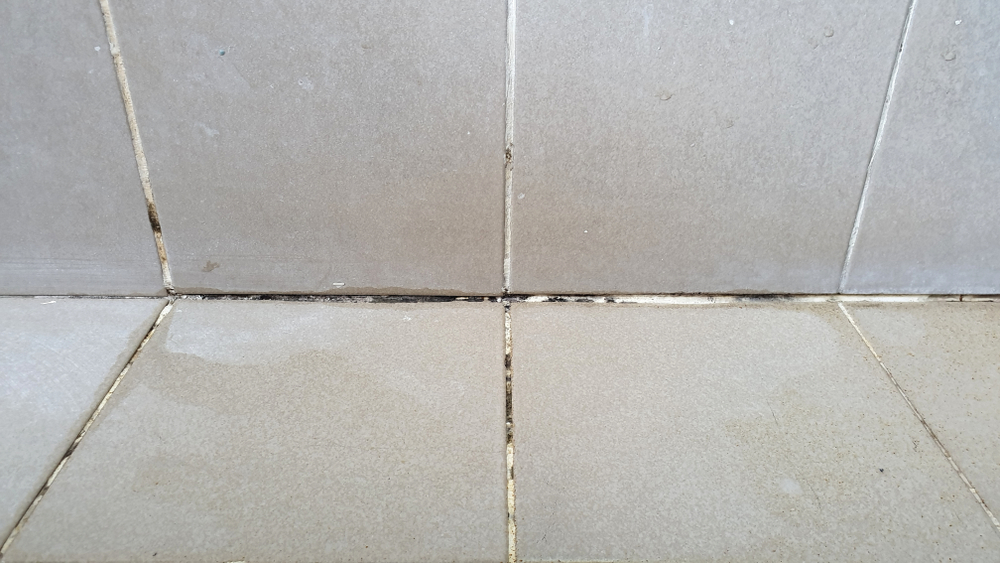 Grout becomes dirty when not sealed