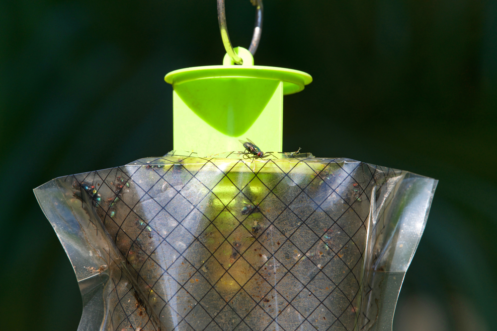 Inverted cone fly trap