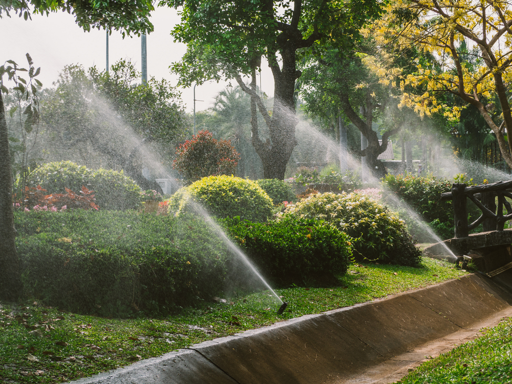 Lawn sprinkler spraying garden hedges