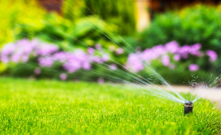 The Best Lawn Sprinklers for Even, Reliable Watering