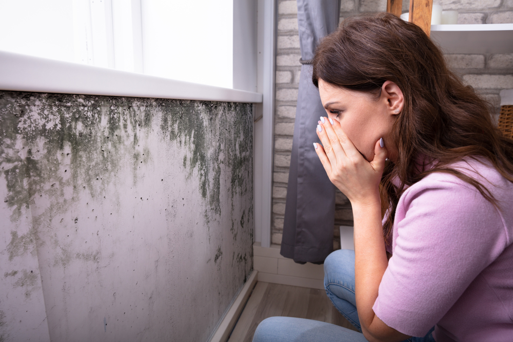 Woman looking at mold growing on wall