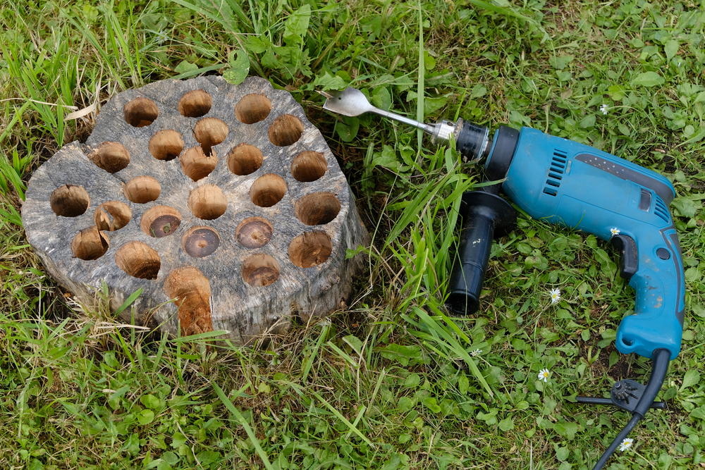 a tree stump filled with one-inch holes next to a blue drill