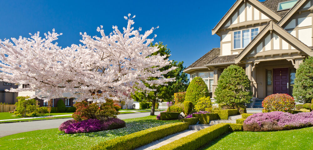 Landscape Your Front Yard and Make It Functional: Step-by-Step Guide