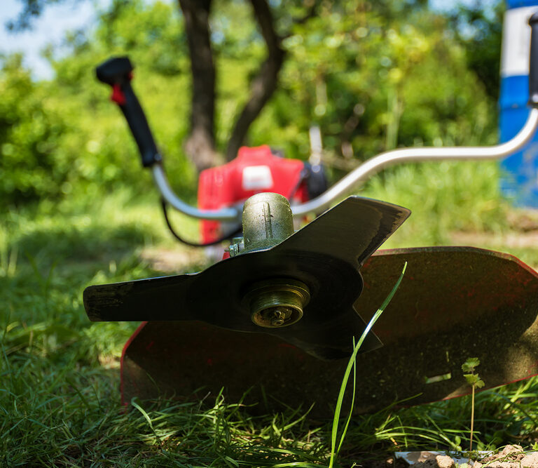 The Best Brush Cutters for Cutting Away Overgrowth