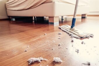 How to Get Rid of Dust – Everything You Need to Know