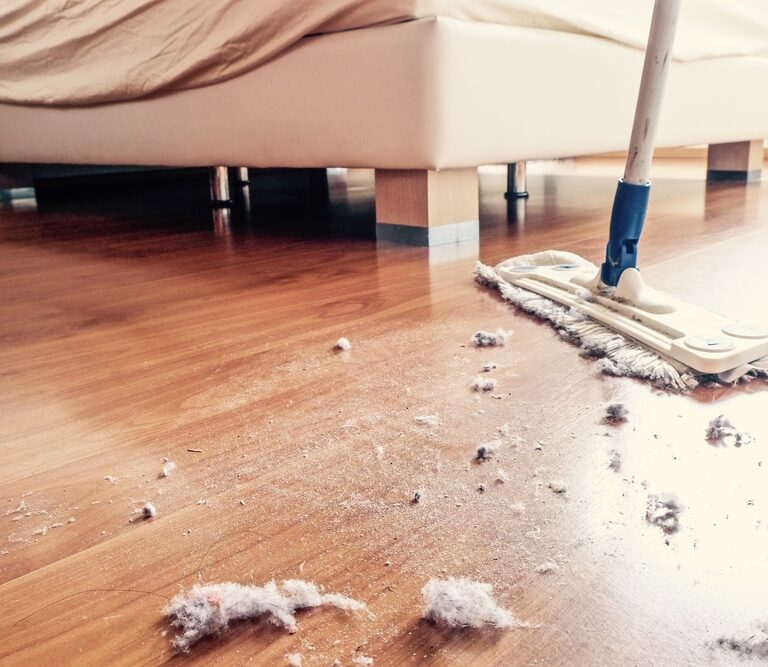 How to Get Rid of Dust – Everything You Need to Know