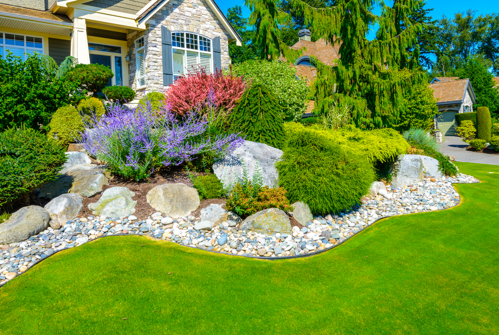 landscaped front yard with plants