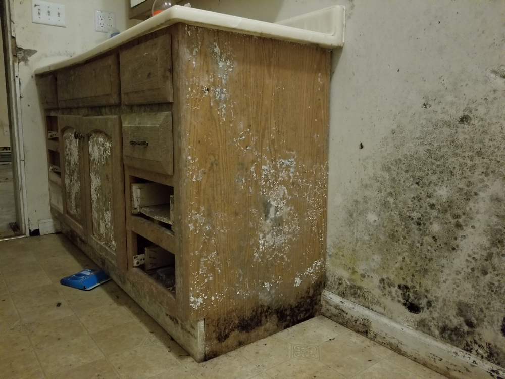 mold buildup on bathroom cabinet and walls