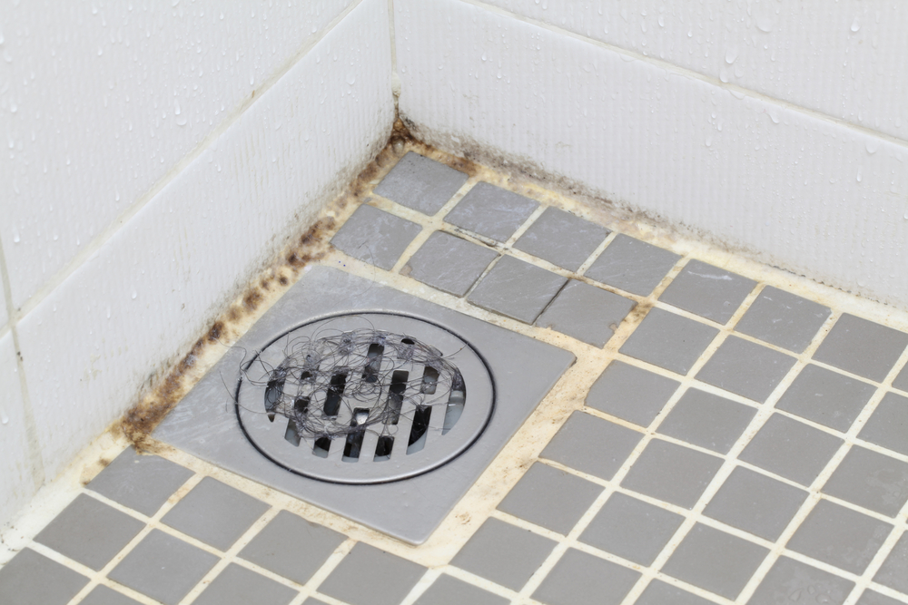 mold growing on the grout between tiles in a shower