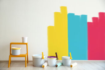 Types of Wall Paint – Everything You Need to Know