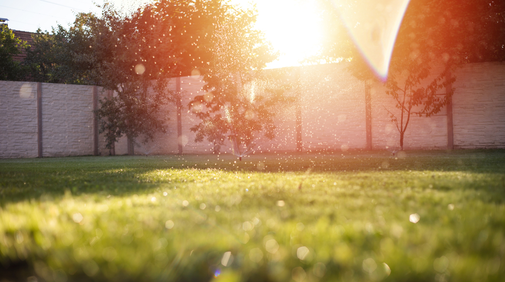 grass lawn being fed with water and sun