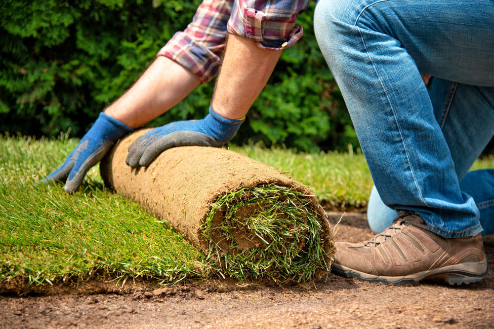 man wearing gloves laying a roll of turf on the ground