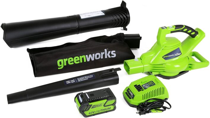 Greenworks Cordless Leaf Blower/Vacuum