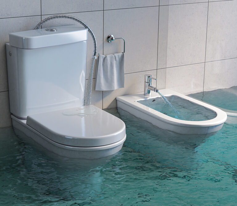 Why Your Toilet Is Overflowing and How to Fix It