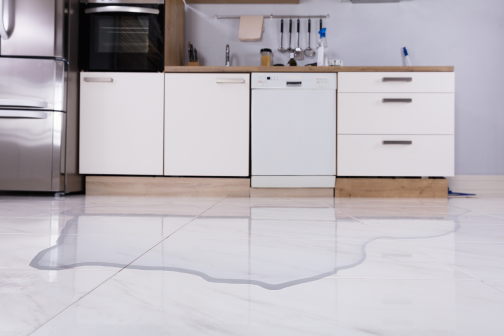 dishwasher leaking under kitchen sink