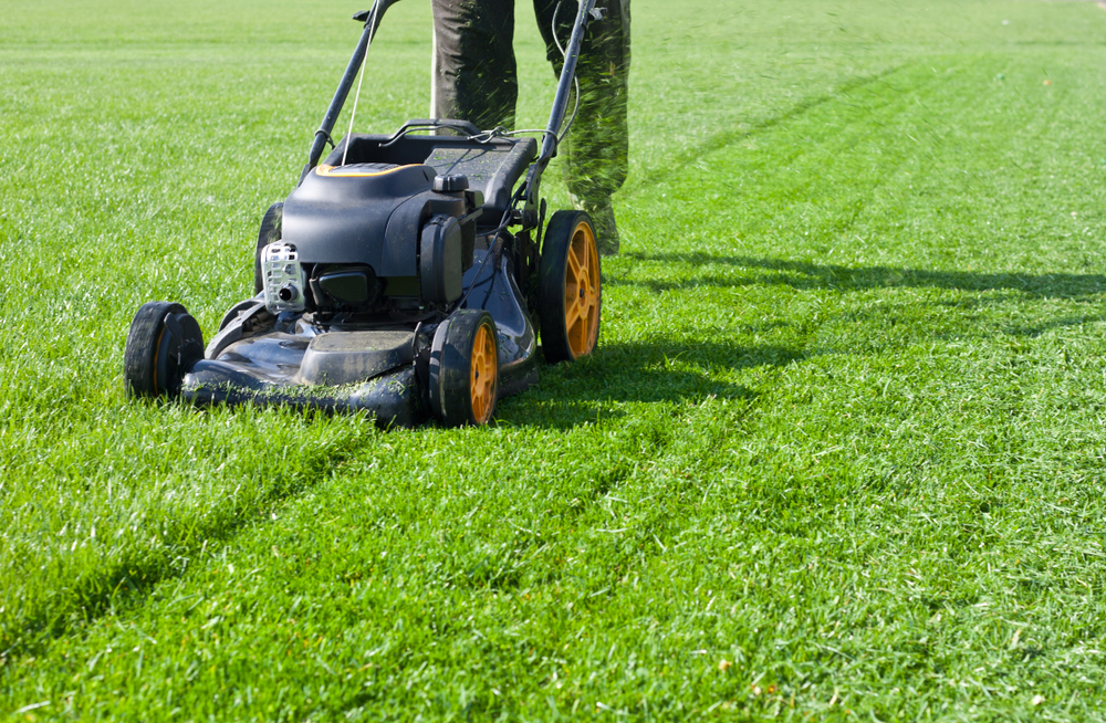 a lawnmower trimming neat rows