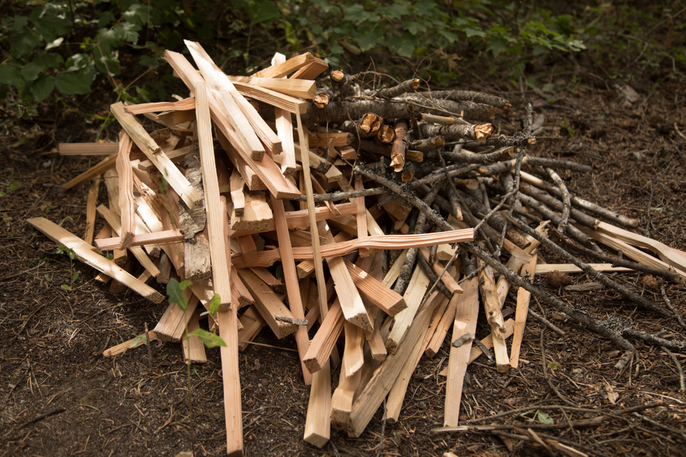 a pile of chopped wood next to a stack of broken branches