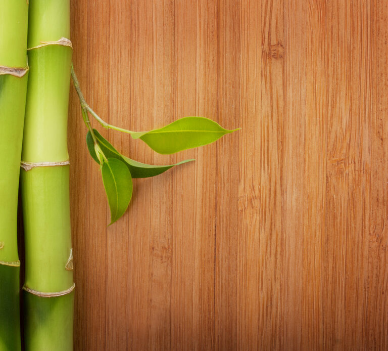 How to Clean Bamboo Floors: What You Need to Know