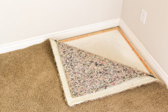 How to Get Mold out of Carpet: A Simple Guide