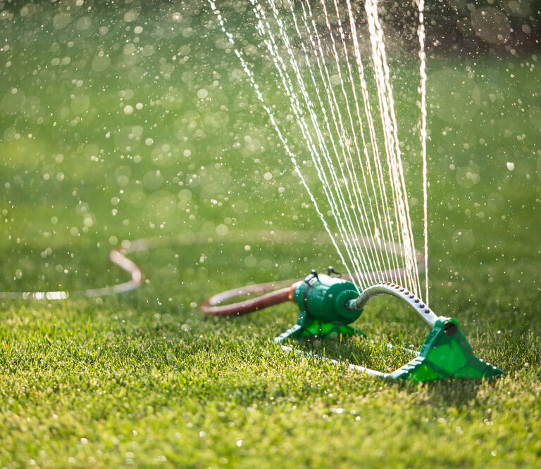 How Long Should You Water Your Lawn? - Tool Digest