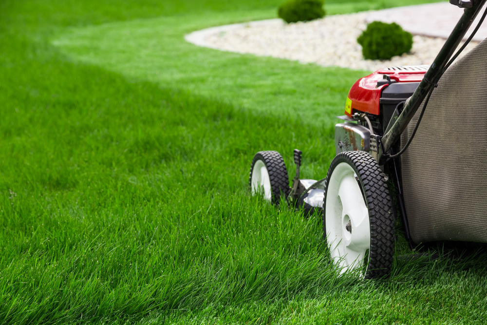 lawnmower mowing tall grass