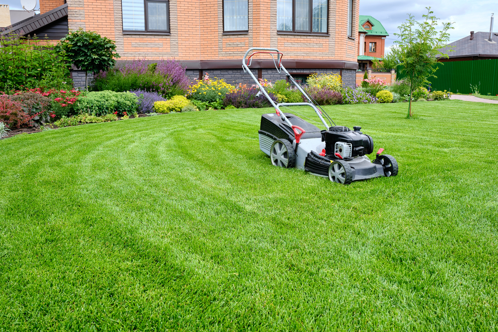 lawnmower on lush green yard