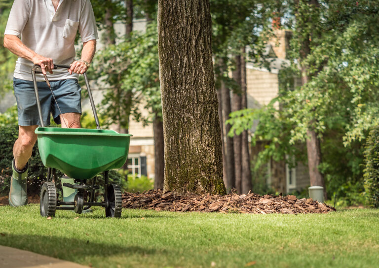 Learn How to Fertilize Your Lawn