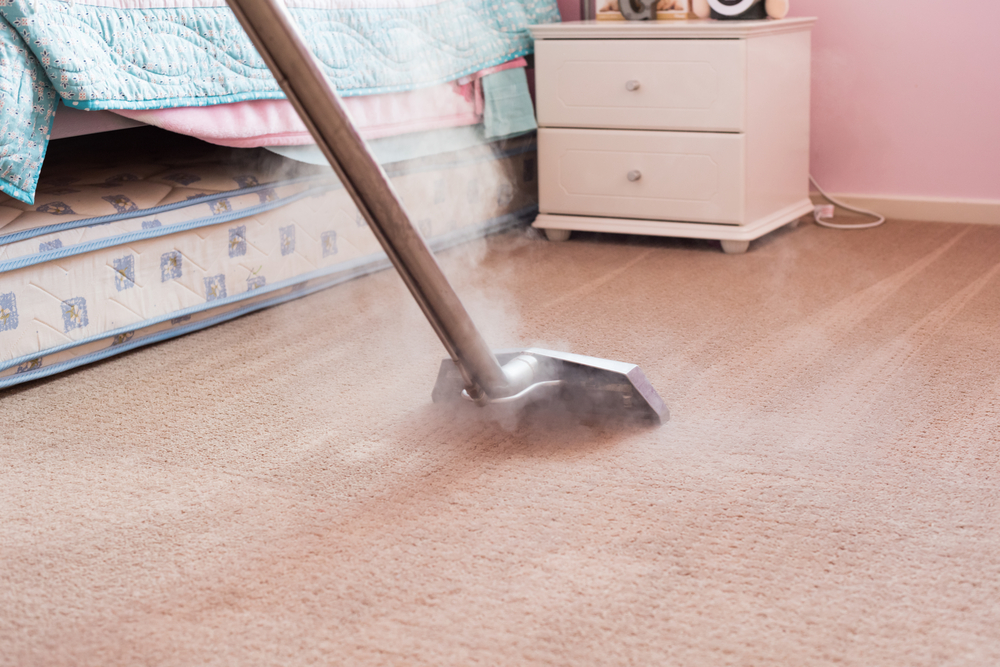 steam cleaning pink carpet in bedroom